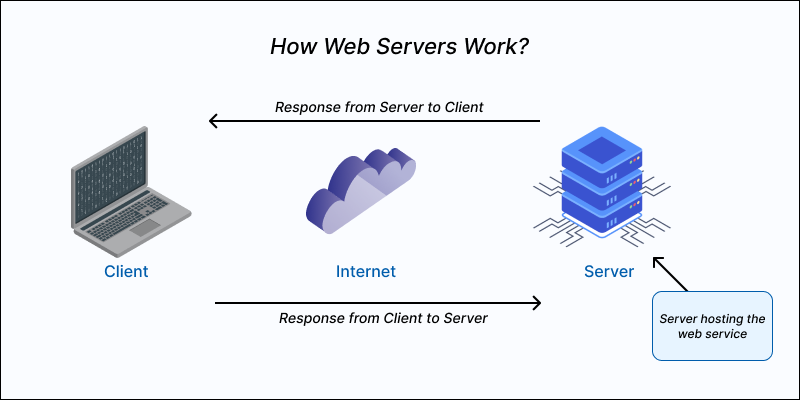 Differences Between REST API and Web Service: Comparison