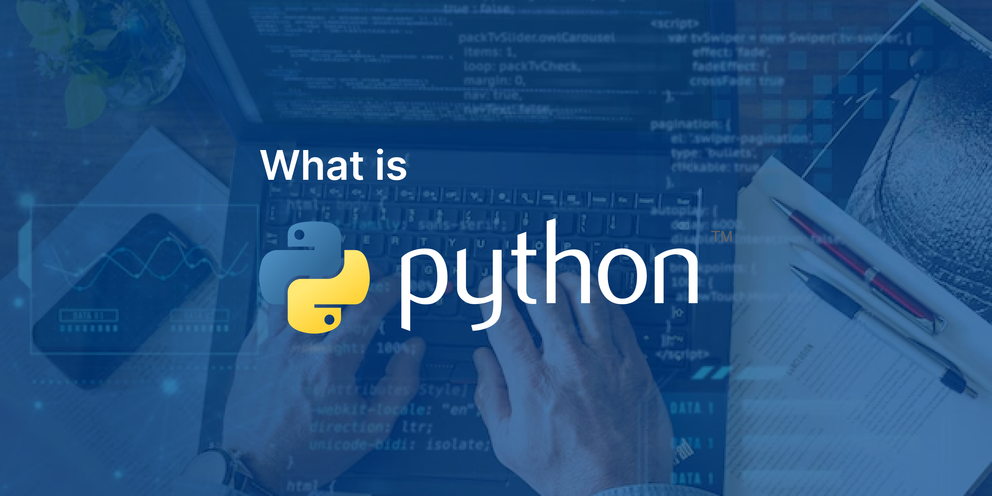 Image on Python With its Logo