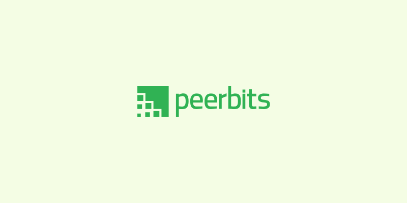 peerbits software development company vector image