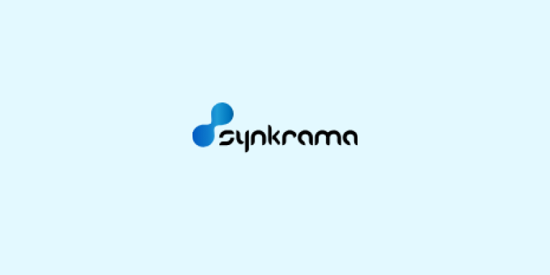 synkarma software development company vector image
