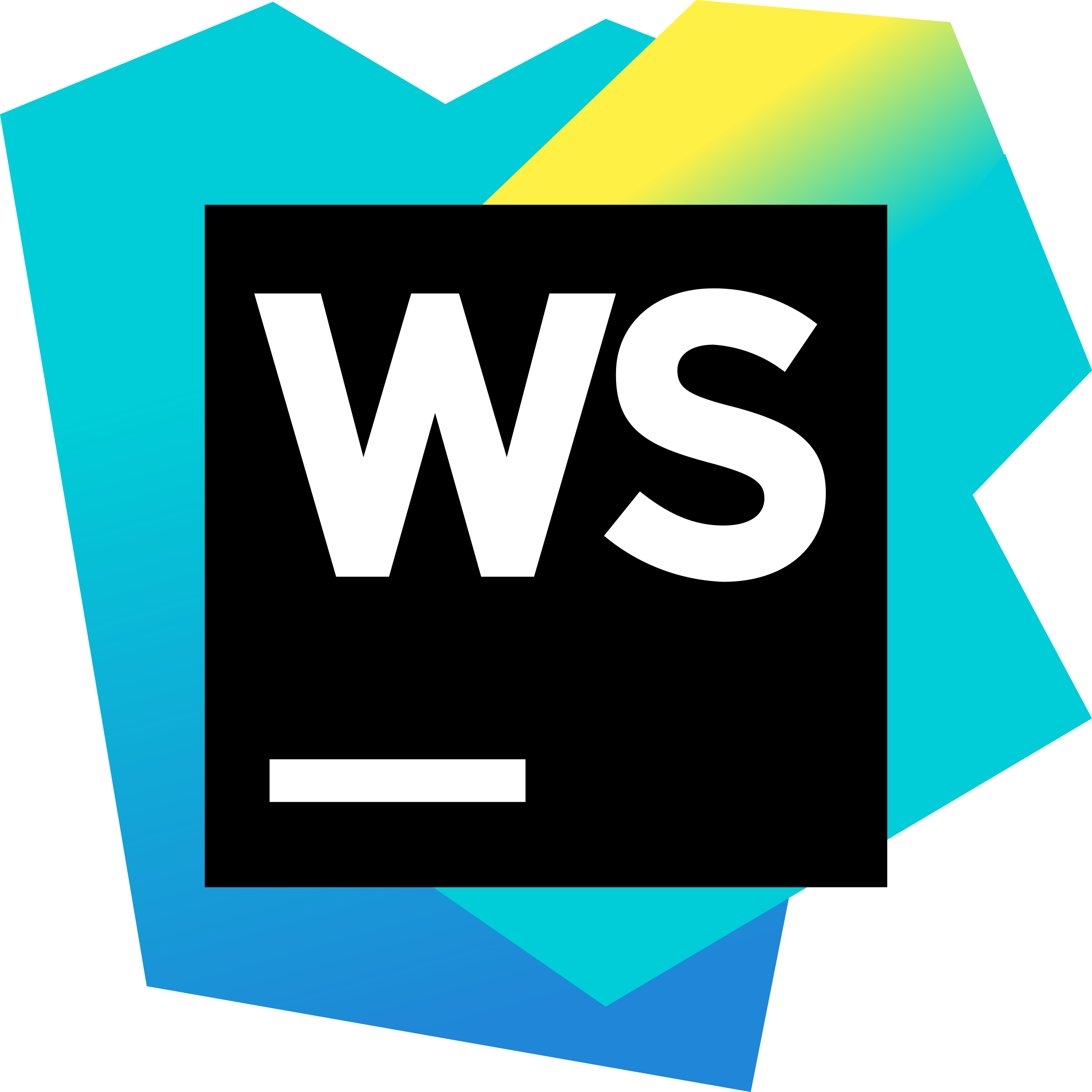 web storm logo in png